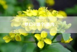 梦幻SF哪个t最肉