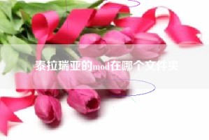 泰拉瑞亚的mod在哪个文件夹