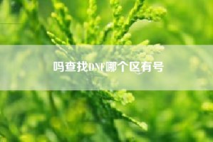 吗查找DNF哪个区有号