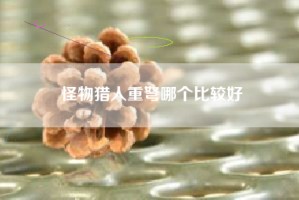 怪物猎人重弩哪个比较好