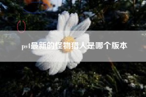 ps4最新的怪物猎人是哪个版本