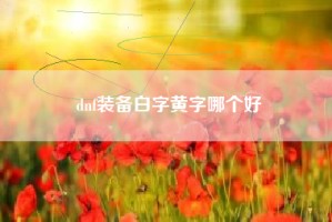 dnf装备白字黄字哪个好