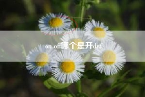 on off哪个是开dnf