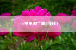 dnf枪里哪个职业好用