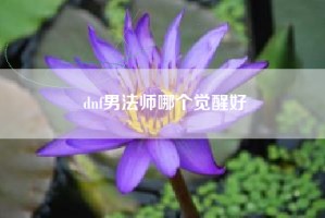 dnf男法师哪个觉醒好