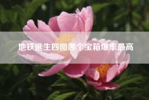 地铁逃生四图哪个宝箱爆率最高