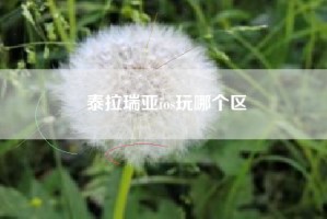 泰拉瑞亚ios玩哪个区