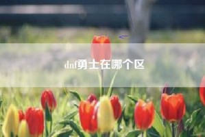 dnf勇士在哪个区