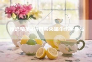 反恐精英ol所有毁灭哪个伤害最高