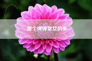 哪个弹弹堂女的多