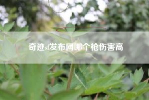奇迹sf发布网哪个枪伤害高