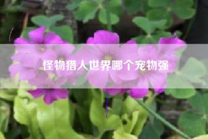 怪物猎人世界哪个宠物强