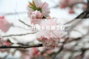 dnf升级卡片哪个好
