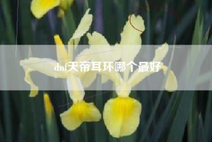 dnf天帝耳环哪个最好