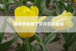 魔兽争霸哪个文件启动最快