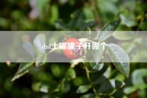 dnf土罐罐子开哪个