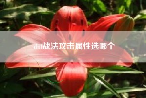dnf战法攻击属性选哪个
