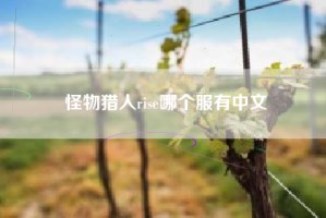 怪物猎人rise哪个服有中文