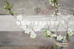 辐射4哪个基地最平整好