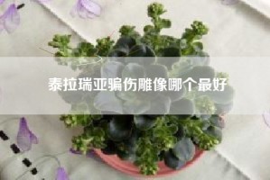 泰拉瑞亚骗伤雕像哪个最好