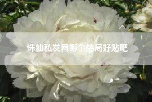 诛仙私发网哪个结局好贴吧