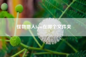怪物猎人bgm在哪个文件夹