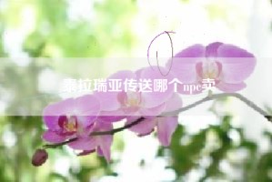 泰拉瑞亚传送哪个npc卖