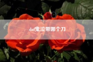 dnf鬼泣带哪个刀