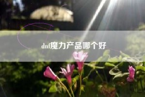 dnf魔力产品哪个好