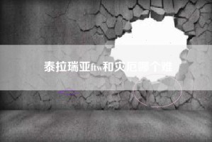 泰拉瑞亚ftw和灾厄哪个难