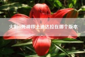 火影vs死神秽土迪达拉在哪个版本