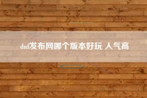 dnf发布网哪个版本好玩 人气高