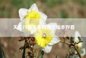 天龙八部发布网哪个版本好看