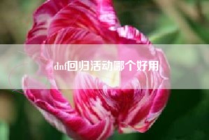 dnf回归活动哪个好用