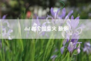 dnf 哪个图柴火 最多