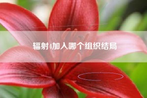 辐射4加入哪个组织结局