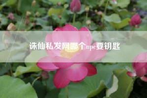 诛仙私发网哪个npc要钥匙