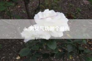 dnf男女气功哪个最强