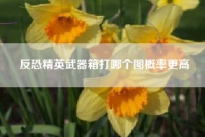 反恐精英武器箱打哪个图概率更高