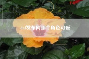 dnf发布网哪个角色可爱