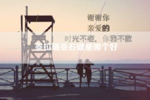 泰拉瑞亚右键是哪个好
