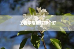 王者荣耀远程哪个好