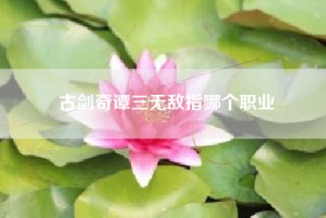 古剑奇谭三无敌指哪个职业