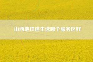山西地铁逃生选哪个服务区好