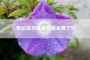 泰拉瑞亚钛金和精金哪个好