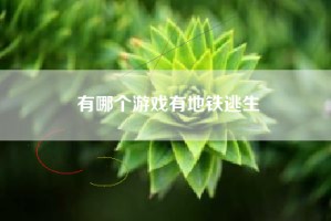 有哪个游戏有地铁逃生