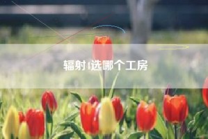 辐射4选哪个工房