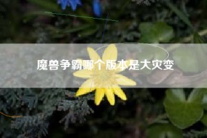 魔兽争霸哪个版本是大灾变