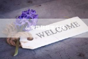 dnf宠物麒麟哪个好