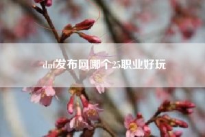 dnf发布网哪个25职业好玩